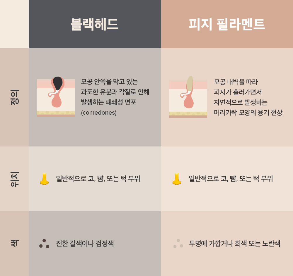 피지 플러그